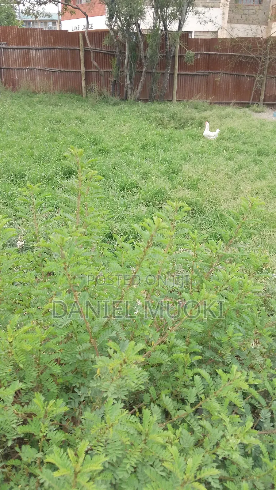 100x100 Plot on Sale Rongai Second Line From Main High Way in Ongata Rongai