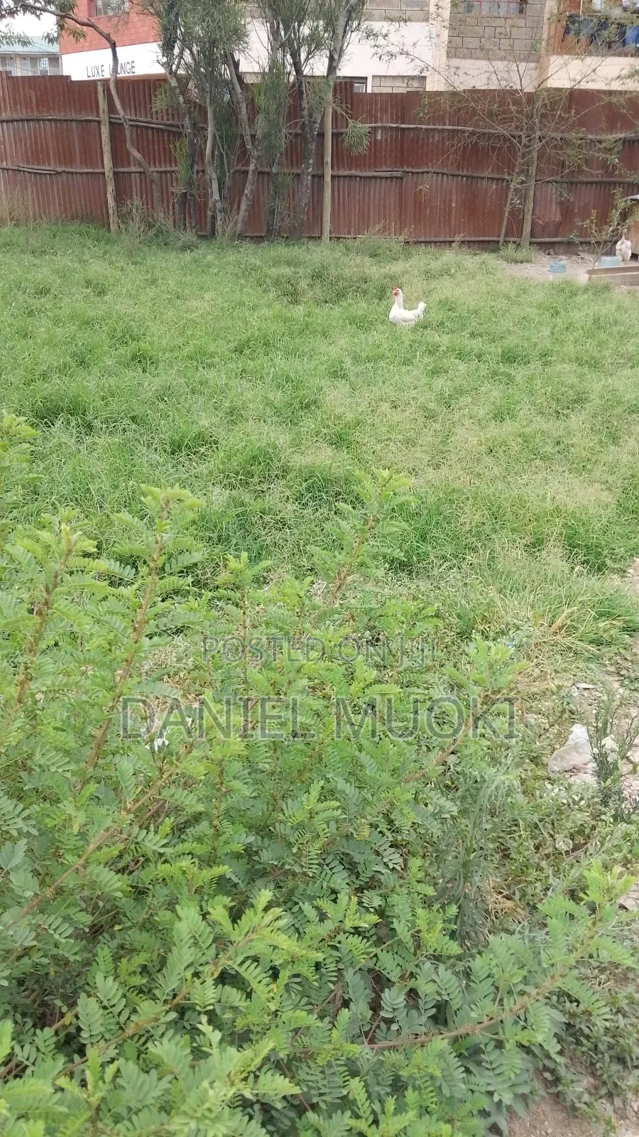 100x100 Plot on Sale Rongai Second Line From Main High Way in Ongata Rongai