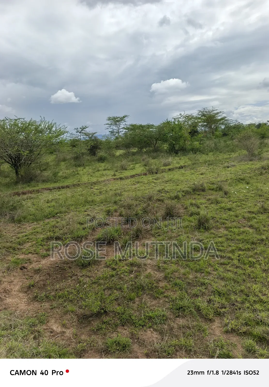 2and Half Cres at Kenol Kangundo Road in Mitaboni