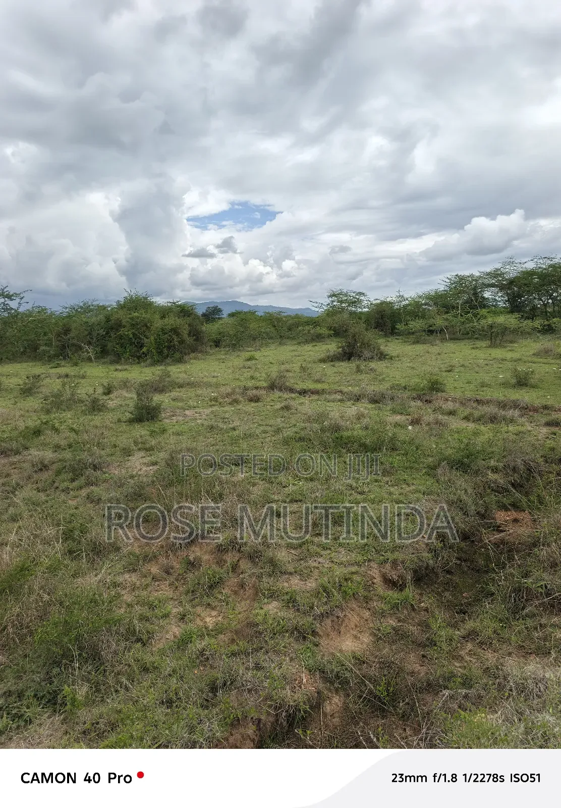 2and Half Cres at Kenol Kangundo Road in Mitaboni