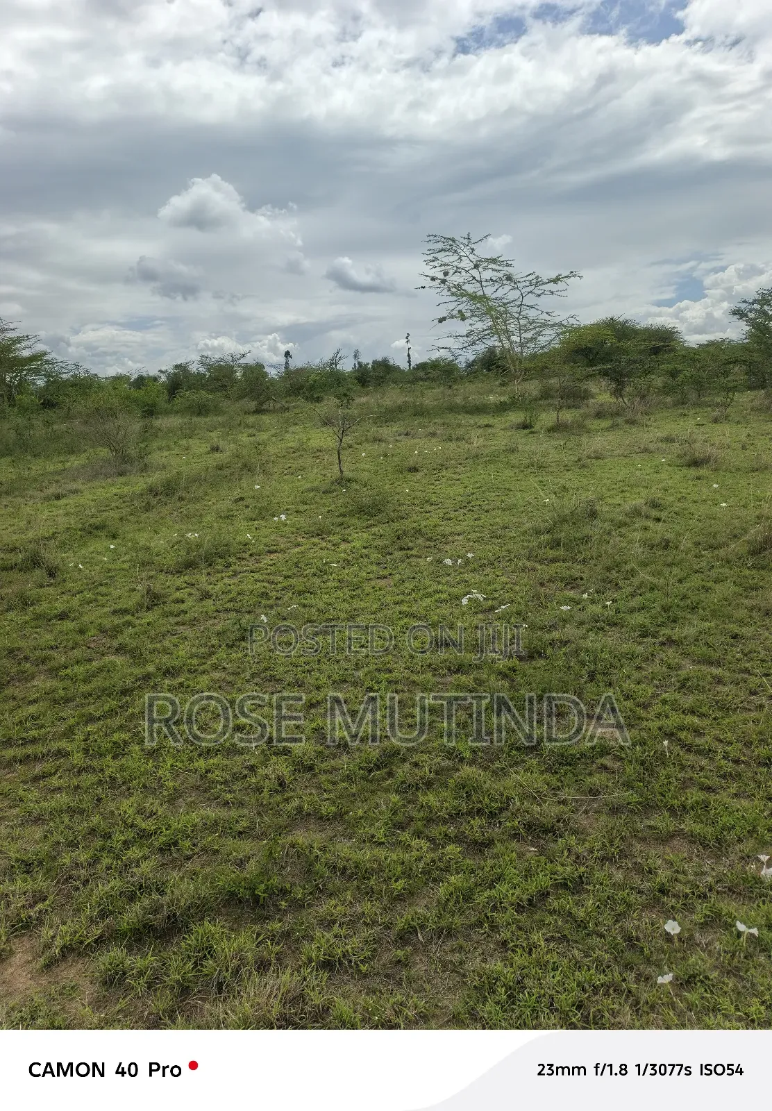 2and Half Cres at Kenol Kangundo Road in Mitaboni