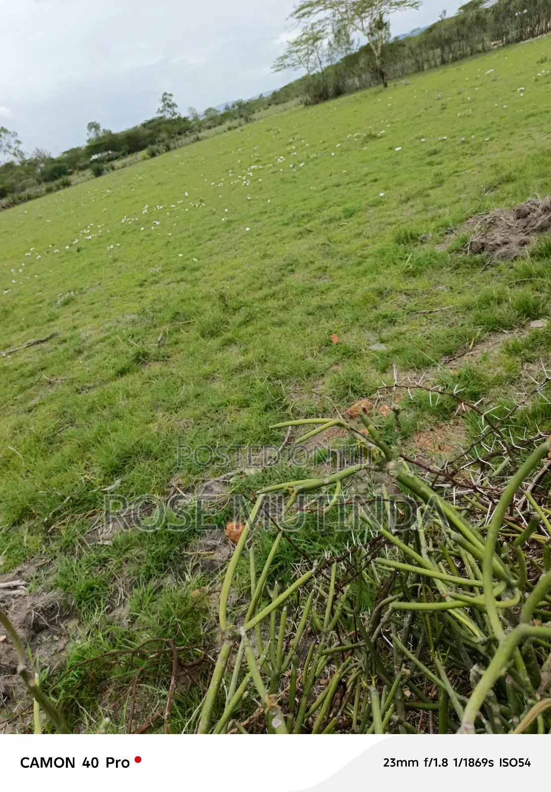 3 Acres at Nguluni in Nguluni