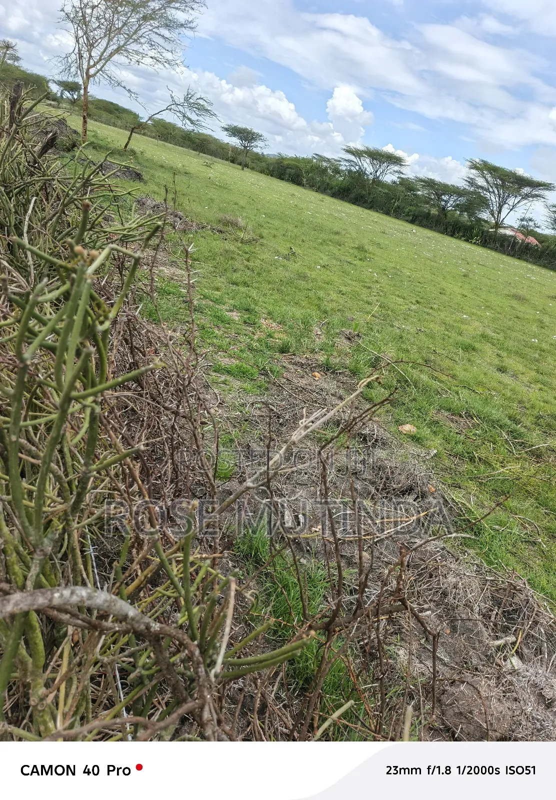 3 Acres at Nguluni in Nguluni