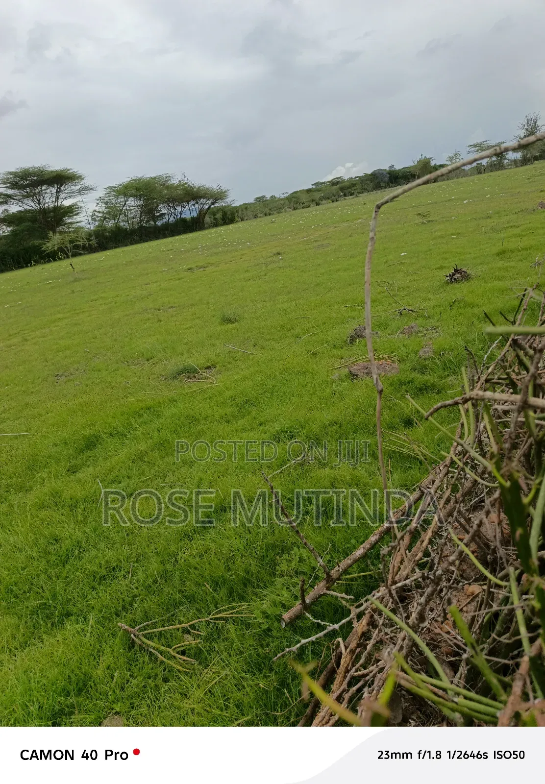 3 Acres at Nguluni in Nguluni
