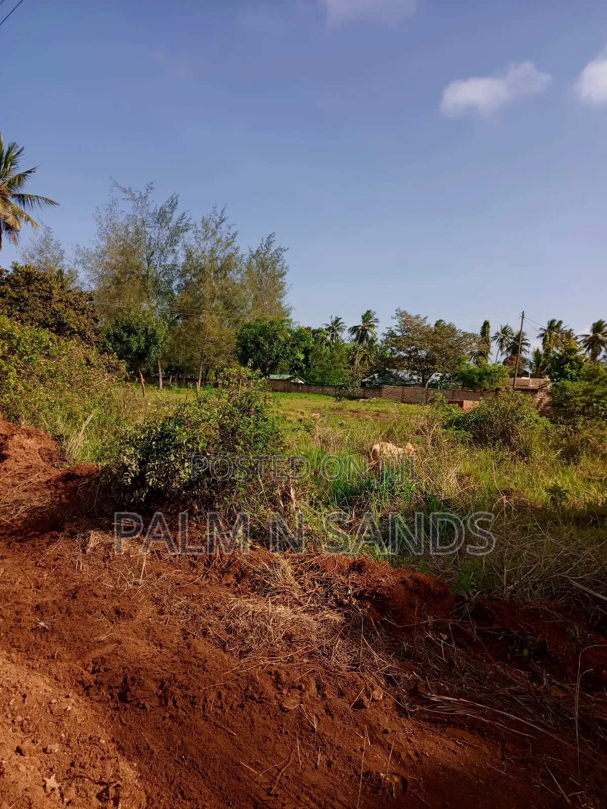 1/2 Acre on Sale in Mvideni Diani in Diani