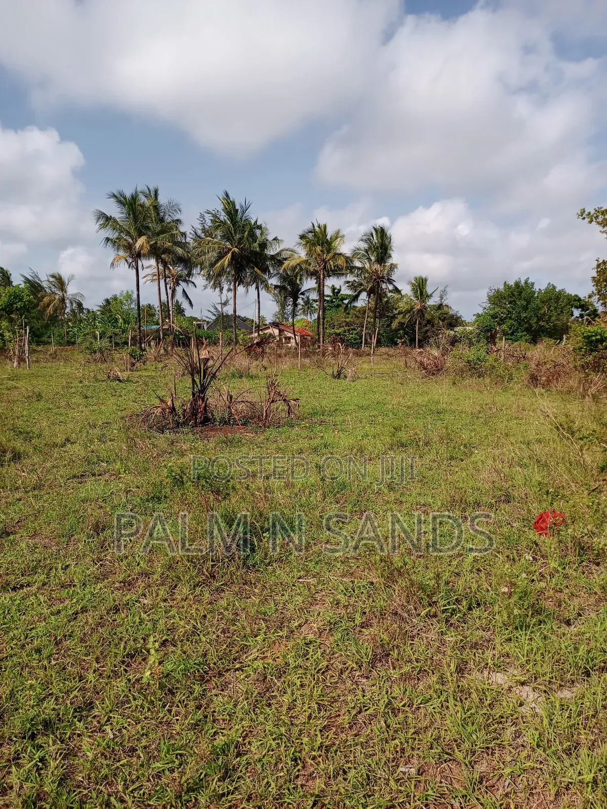 1/2 Acre on Sale in Mvideni Diani in Diani