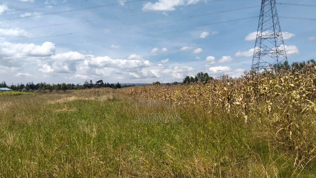 Land for Sale in Olkalou in Kipipiri