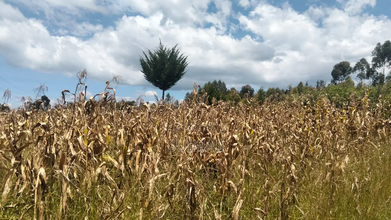 General Land – Two Sons – 2 Acres in Kipipiri