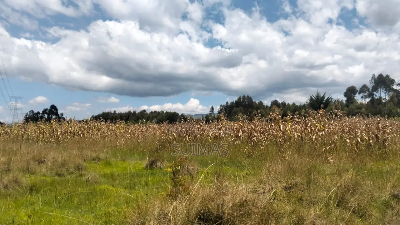 Affordable 2-Acre Land for Sale Nyandarua in Kipipiri