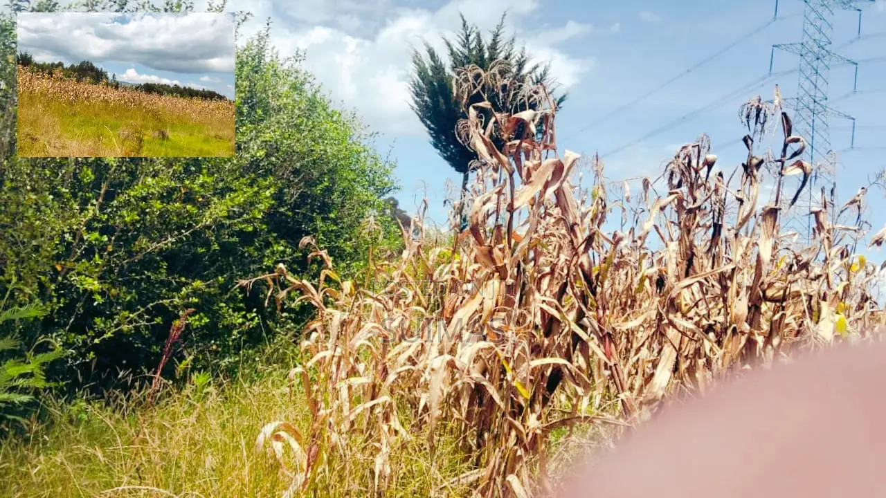 Agricultural Land for Sale in Olkalou in Kipipiri