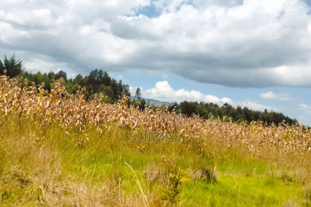 Agricultural Land for Sale in Olkalou in Kipipiri