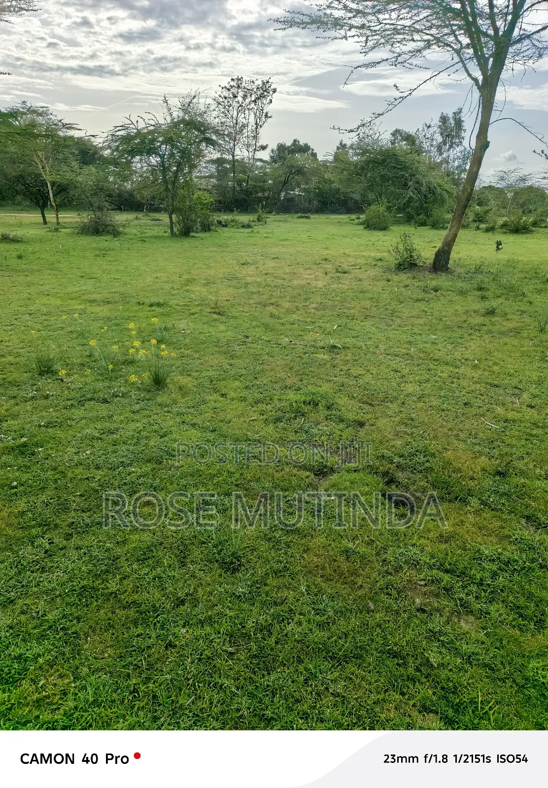 3acres at Syanthi in Nguluni