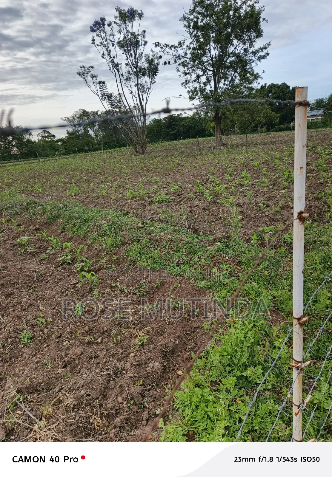 1acres Ar Syanthi in Nguluni