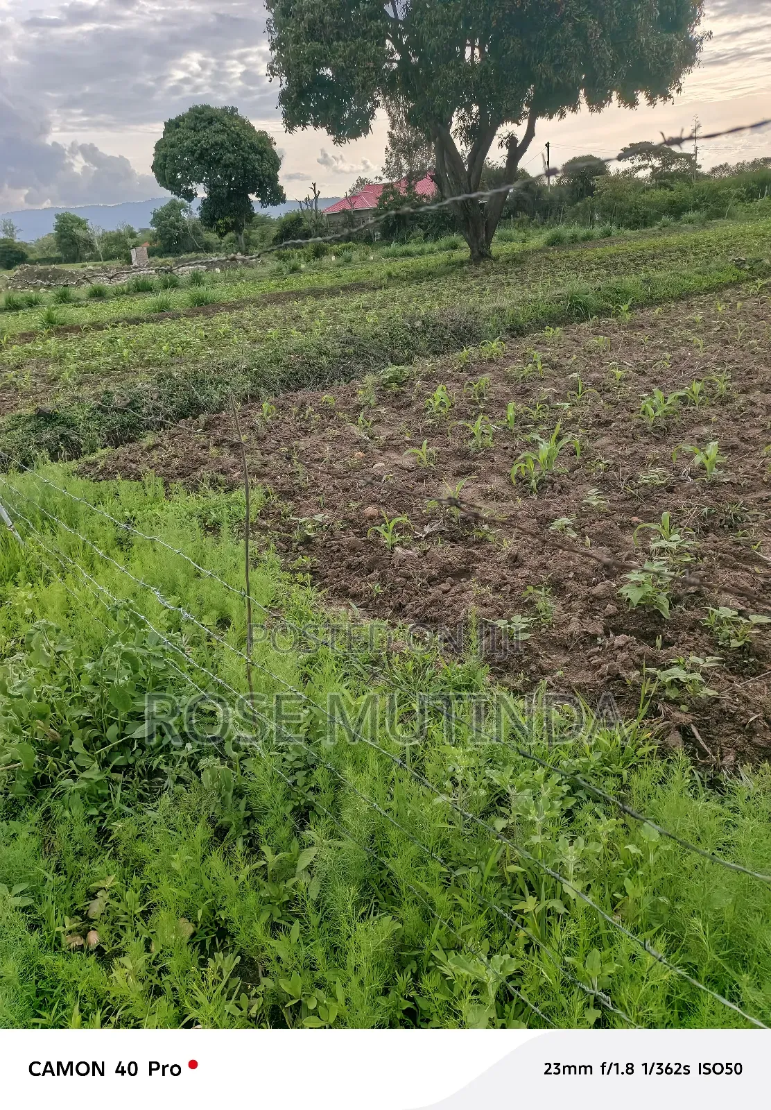 1acres Ar Syanthi in Nguluni