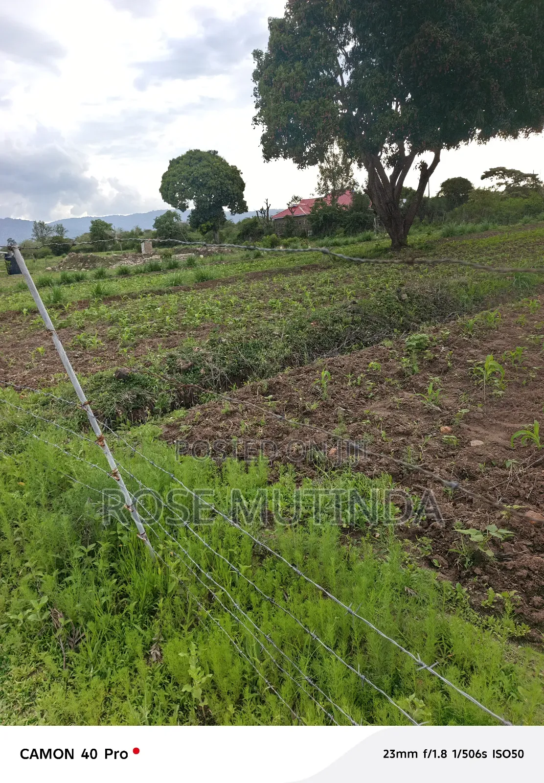 1acres Ar Syanthi in Nguluni