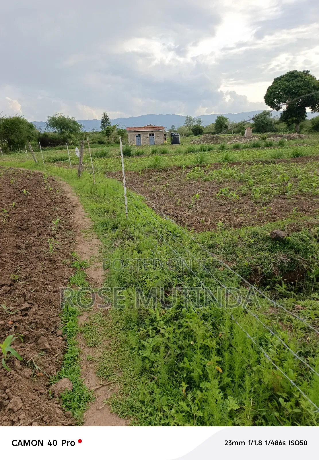 1acres Ar Syanthi in Nguluni