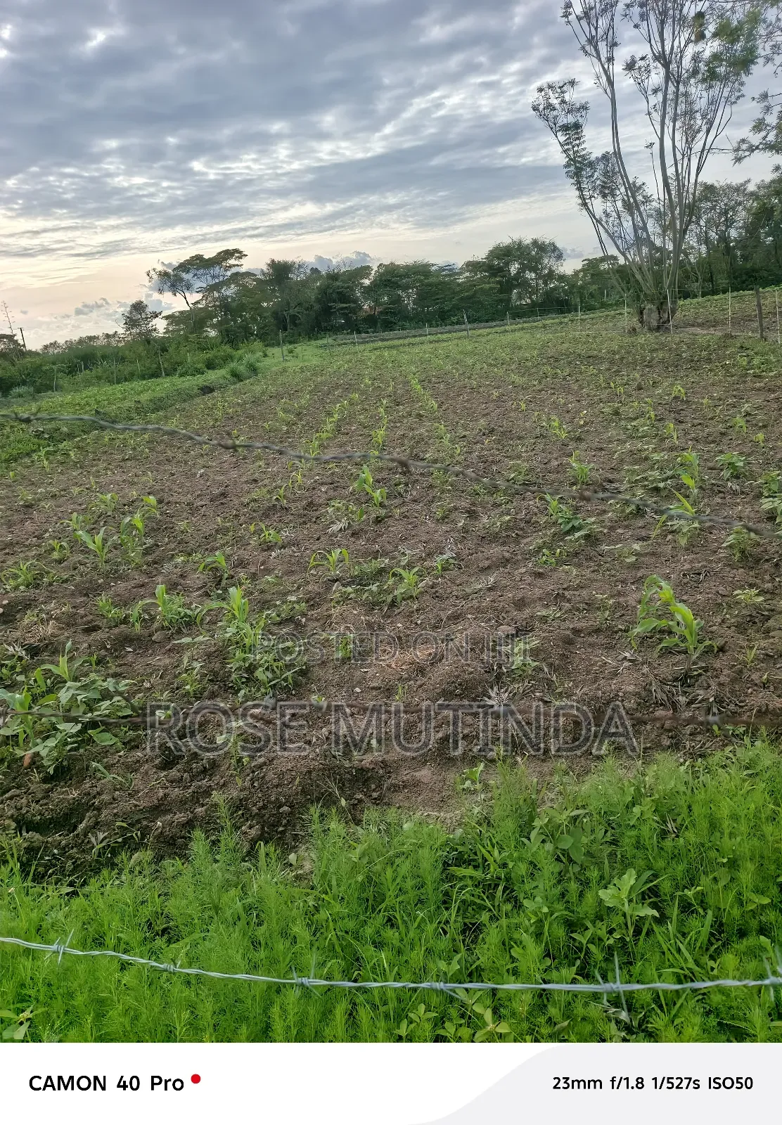 1acres Ar Syanthi in Nguluni