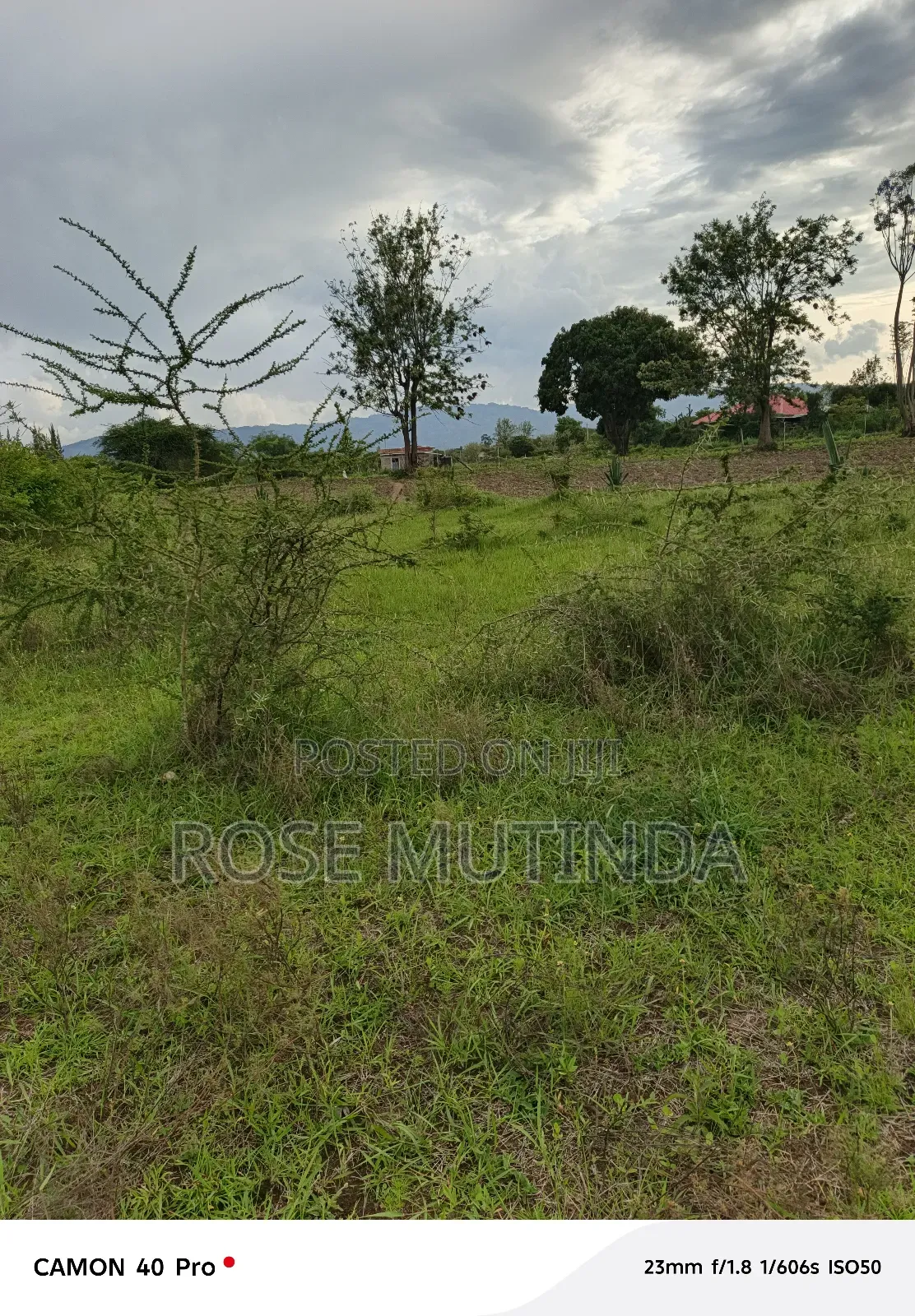 1and Half at Kathaana in Nguluni