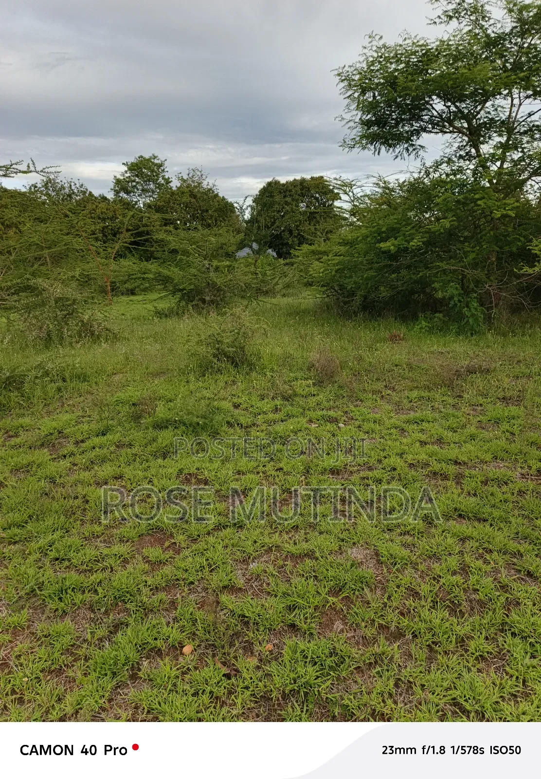 1and Half at Kathaana in Nguluni
