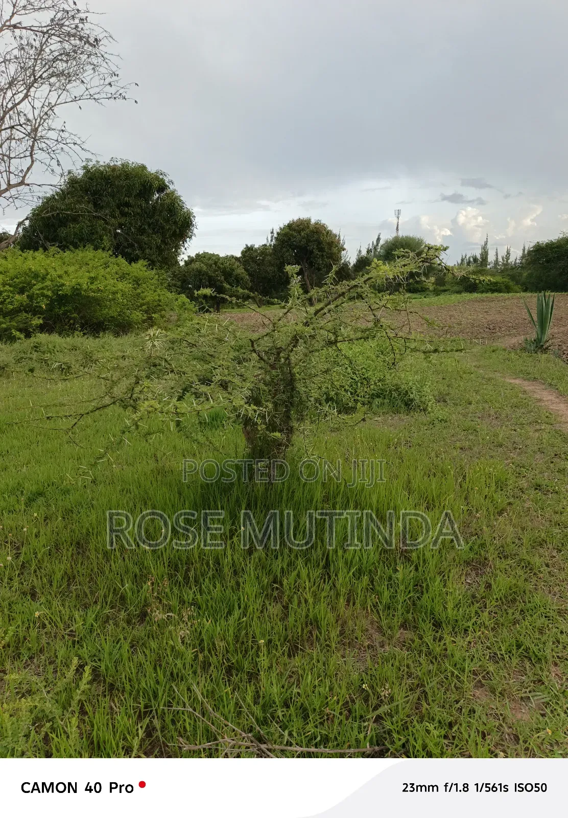 1and Half at Kathaana in Nguluni