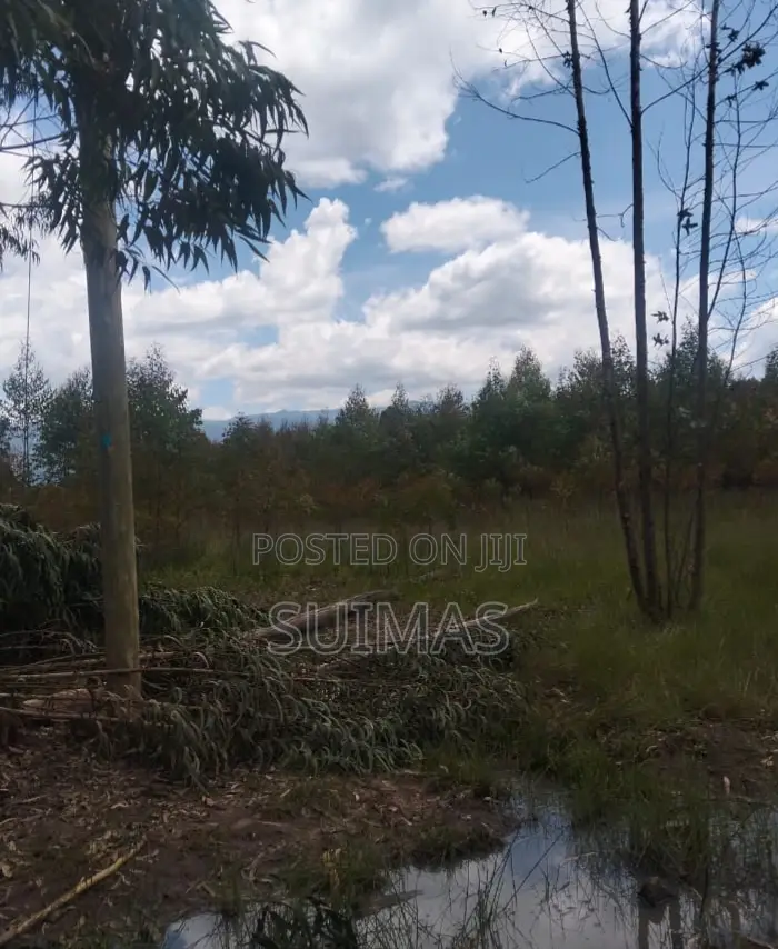 Land for Sale in Bathas Nyandarua in Kipipiri