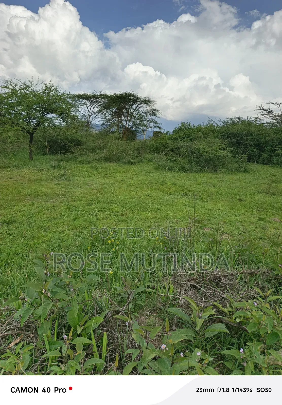 2acres At Kathaana in Nguluni
