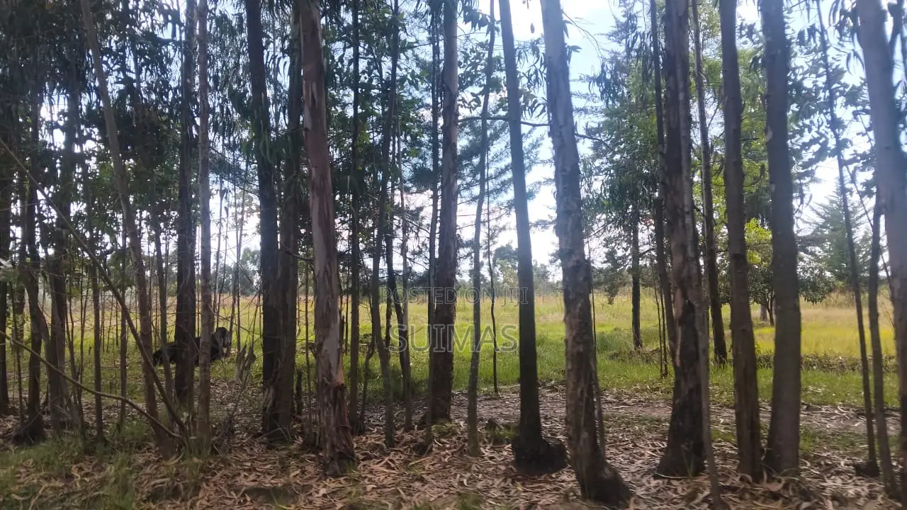 Mixed-use Land With A House For Sale Olkalou in Kipipiri