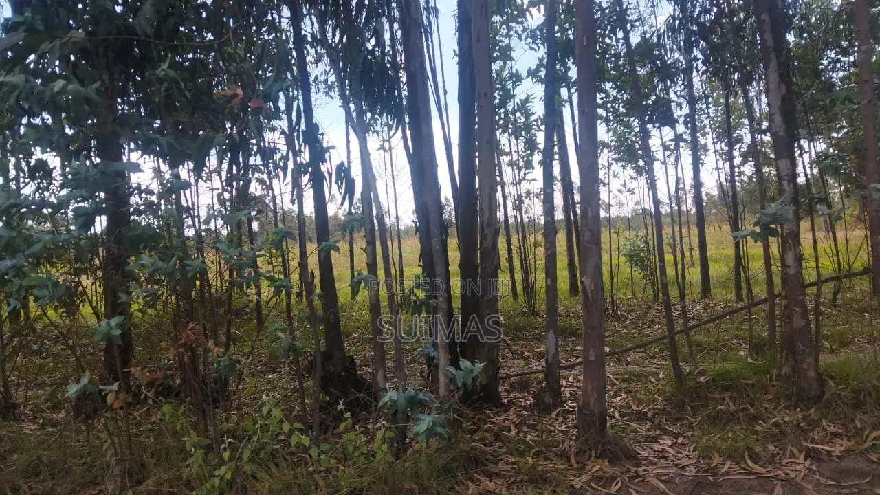 Mixed-use Land With A House For Sale Olkalou in Kipipiri