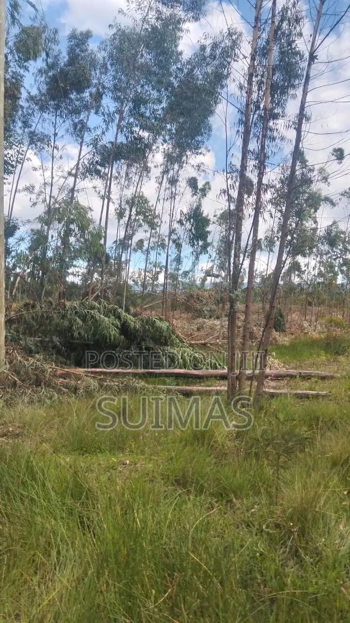 Land With Residential House For Sale Olkalou in Kipipiri