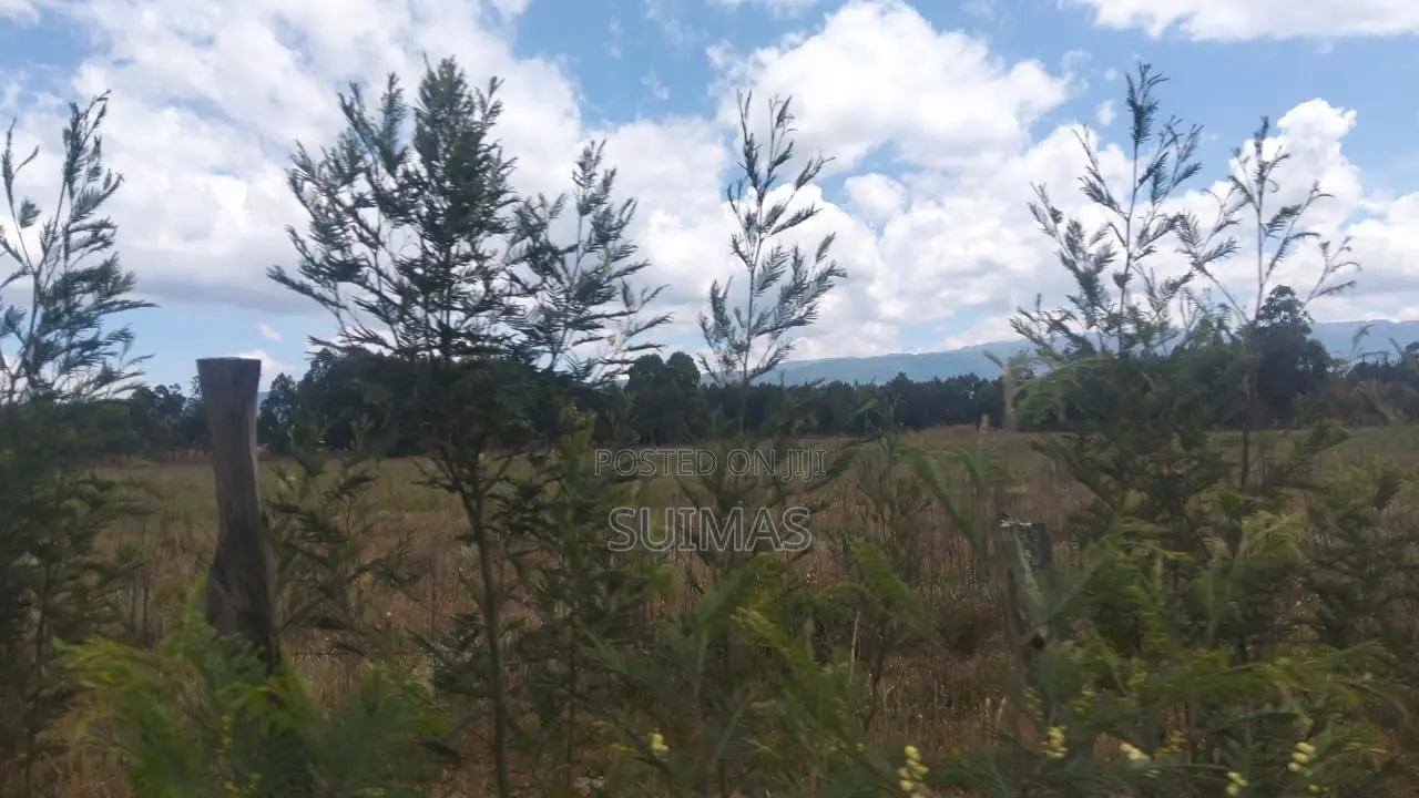 Land for 1.6 Million Per Acre Olkalou in Kipipiri