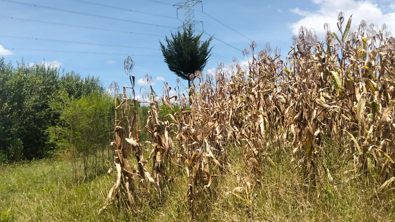 Land for 1.6 Million Per Acre Olkalou in Kipipiri