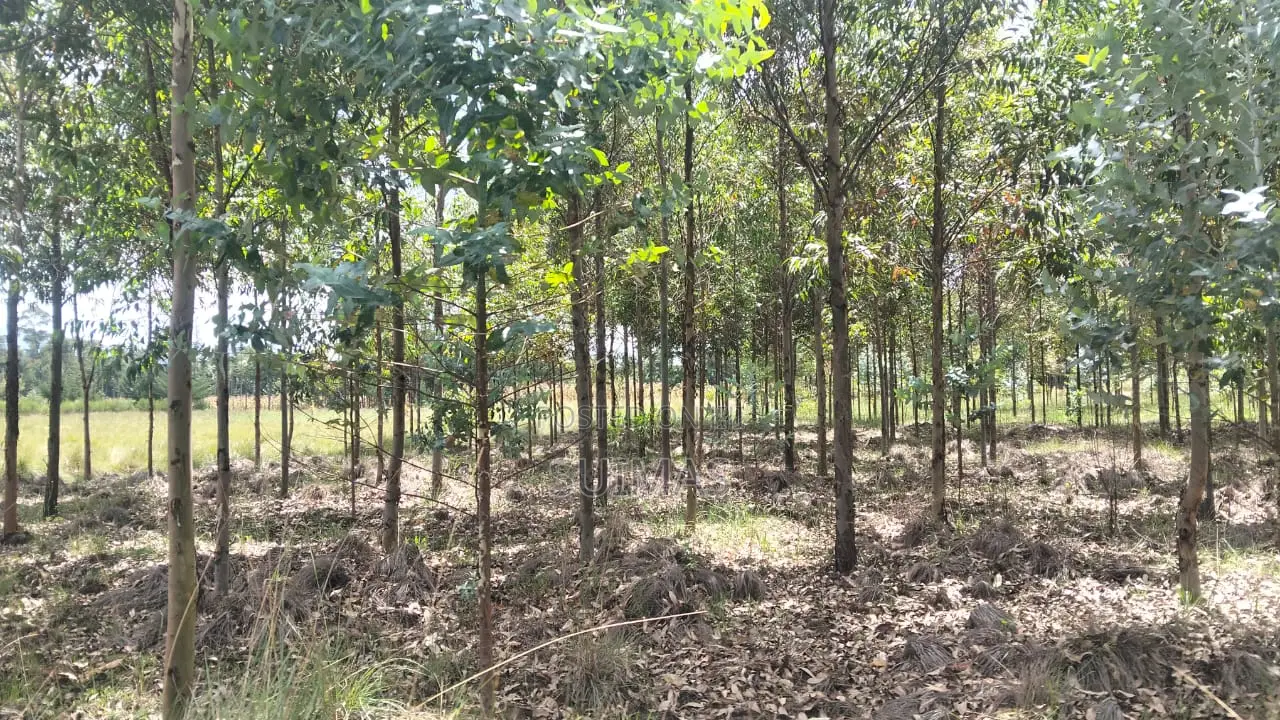Land for 1.6 Million Per Acre Olkalou in Kipipiri