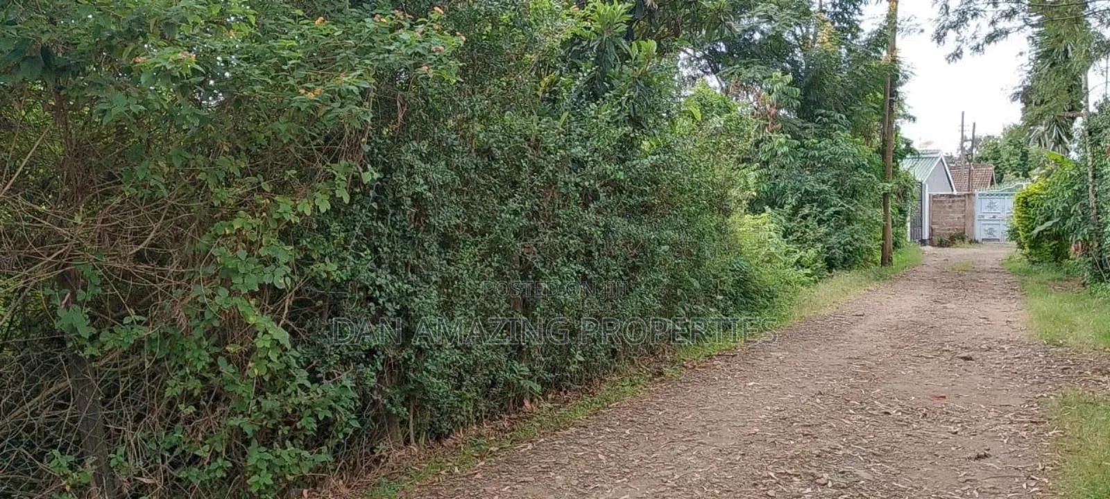 1/4 Acre Plot in Ngong Olepolos for Sale in Ole Polos