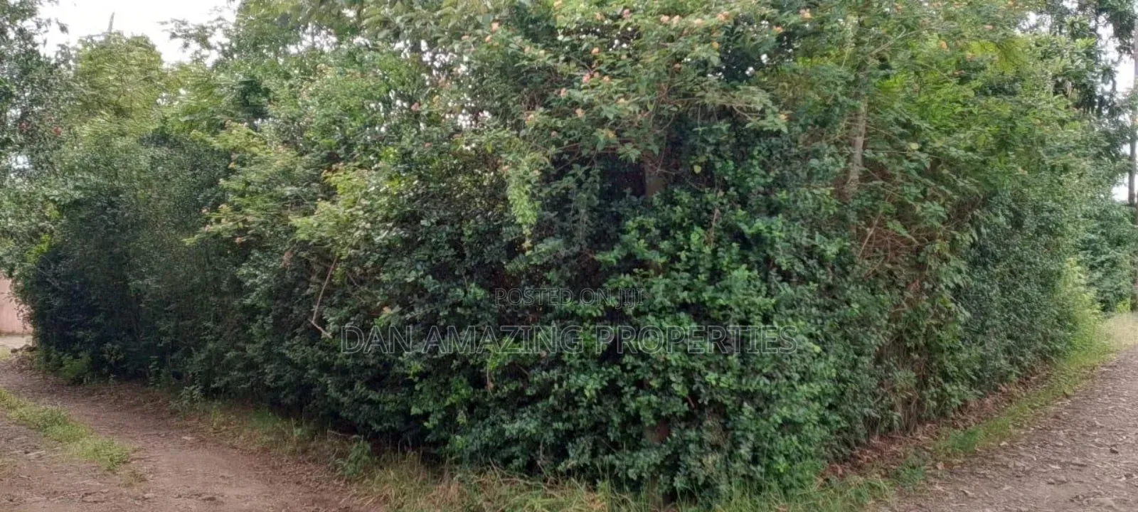 1/4 Acre Plot in Ngong Olepolos for Sale in Ole Polos