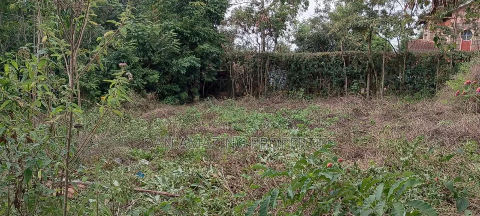 1/4 Acre Plot in Ngong Olepolos for Sale in Ole Polos