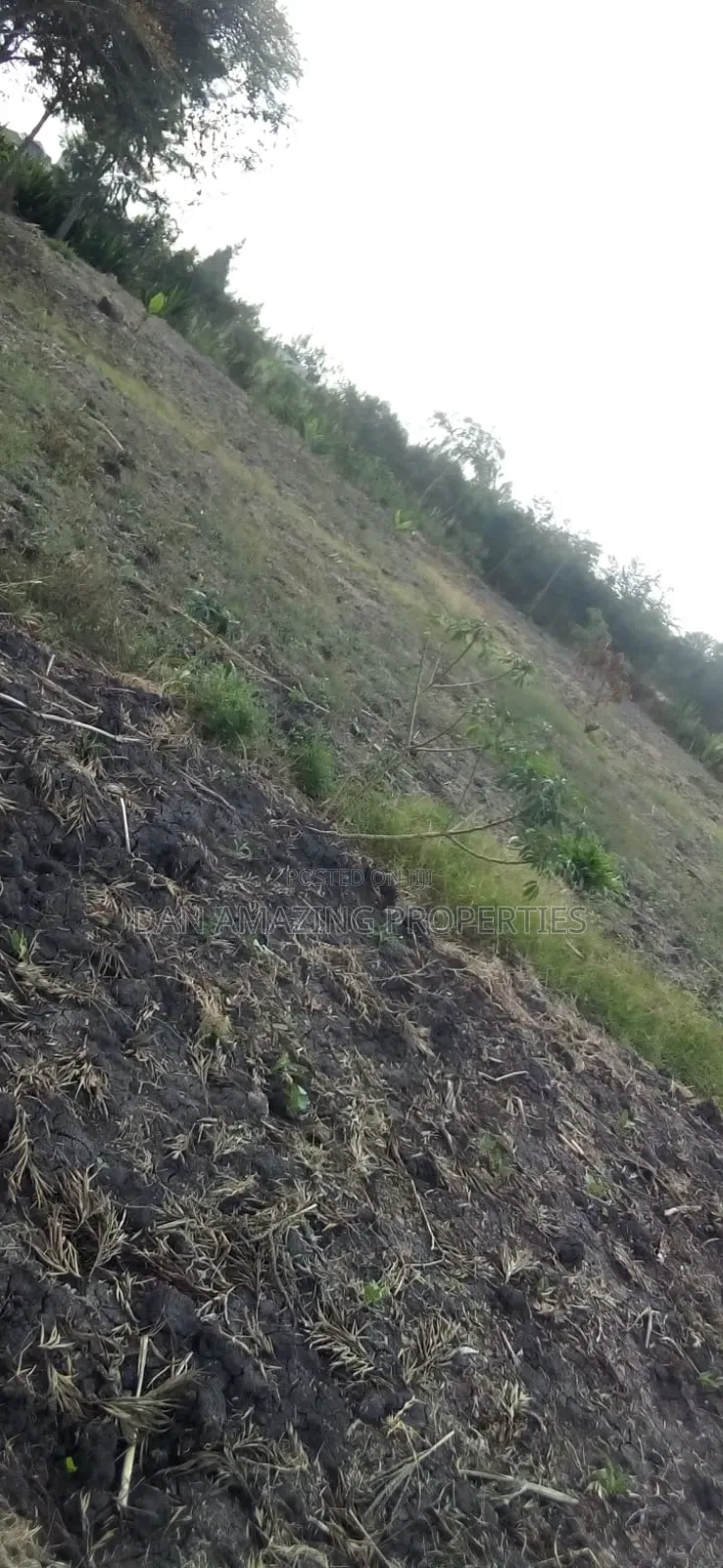 1/4 Acre Plot in Tuala Ongata Rongai for Sale in Ongata Rongai