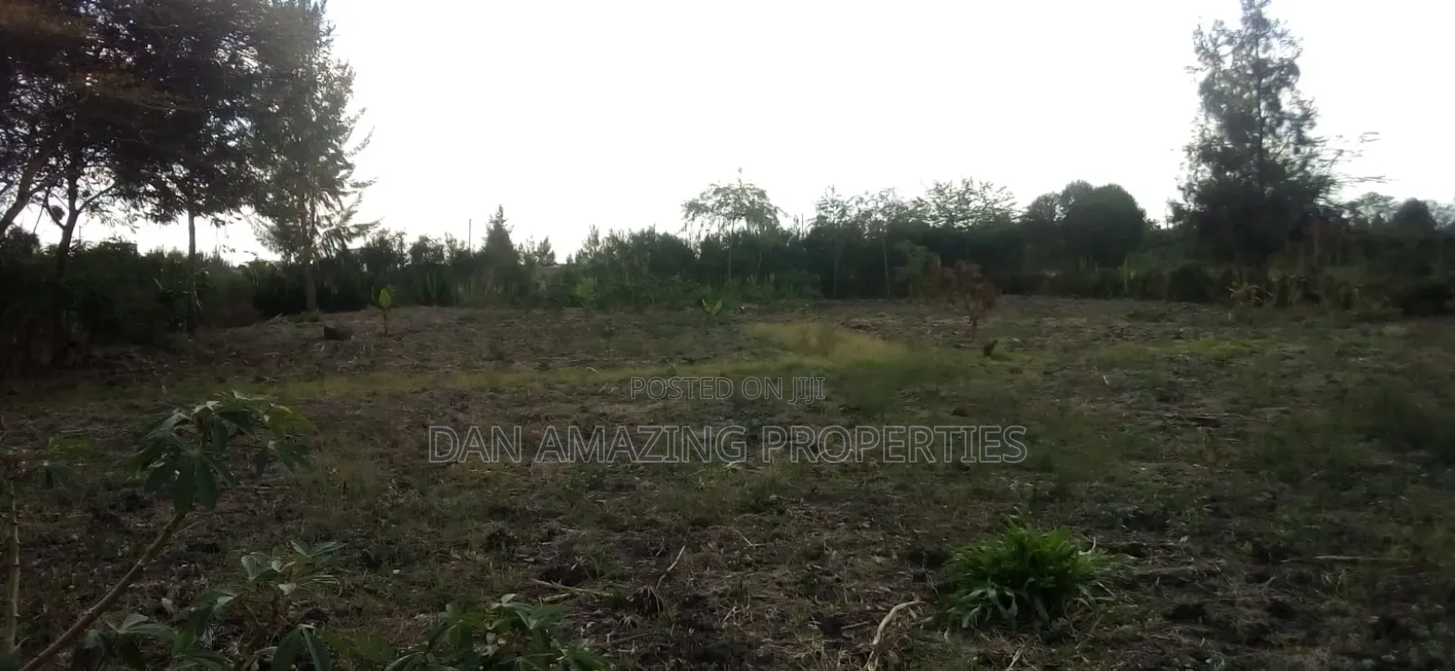 1/4 Acre Plot in Tuala Ongata Rongai for Sale in Ongata Rongai