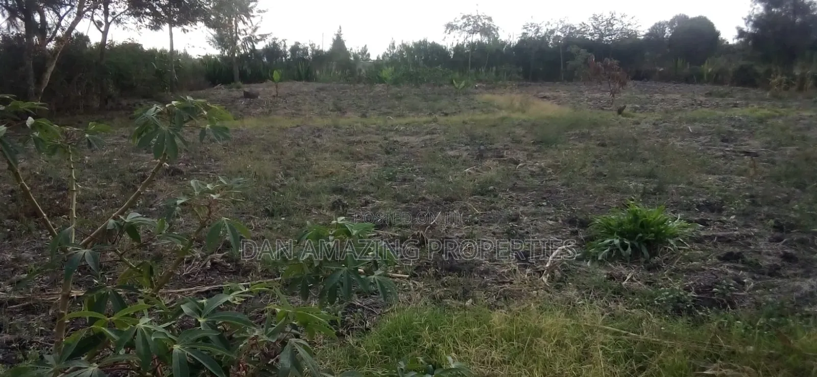 1/4 Acre Plot in Tuala Ongata Rongai for Sale in Ongata Rongai