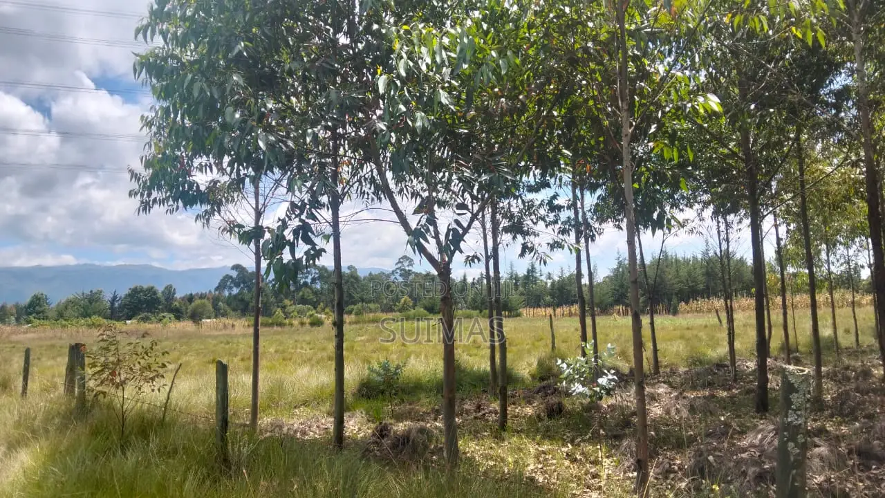 Chebes Land for Sale – 5 Acres in Kipipiri
