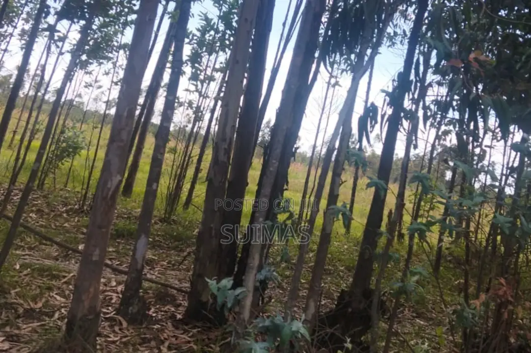 Chebes Land for Sale in Kipipiri
