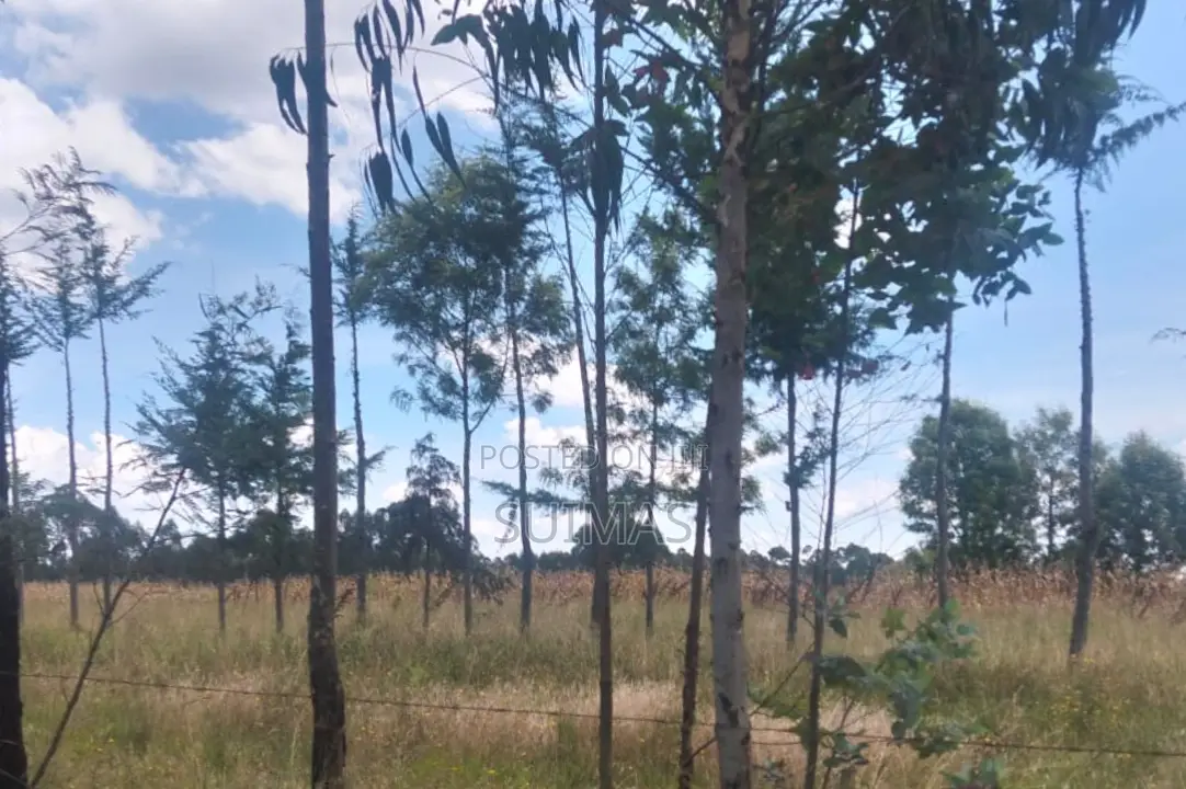 Residential Land for Sale in Chebes Nyandarua in Kipipiri