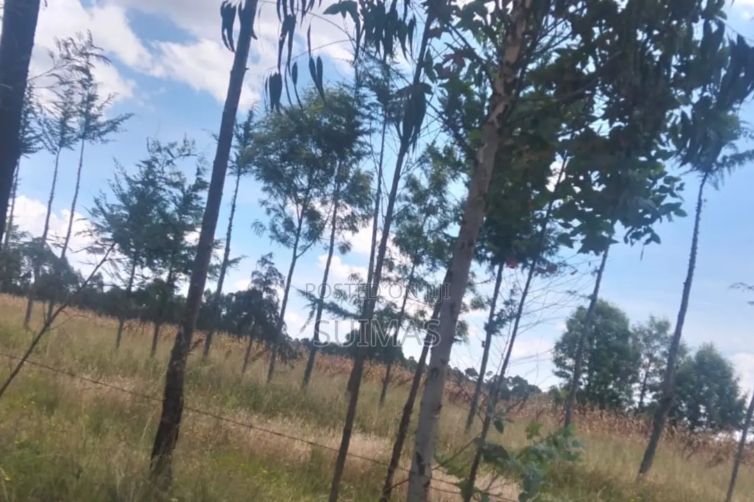 Residential Land for Sale in Chebes Nyandarua in Kipipiri