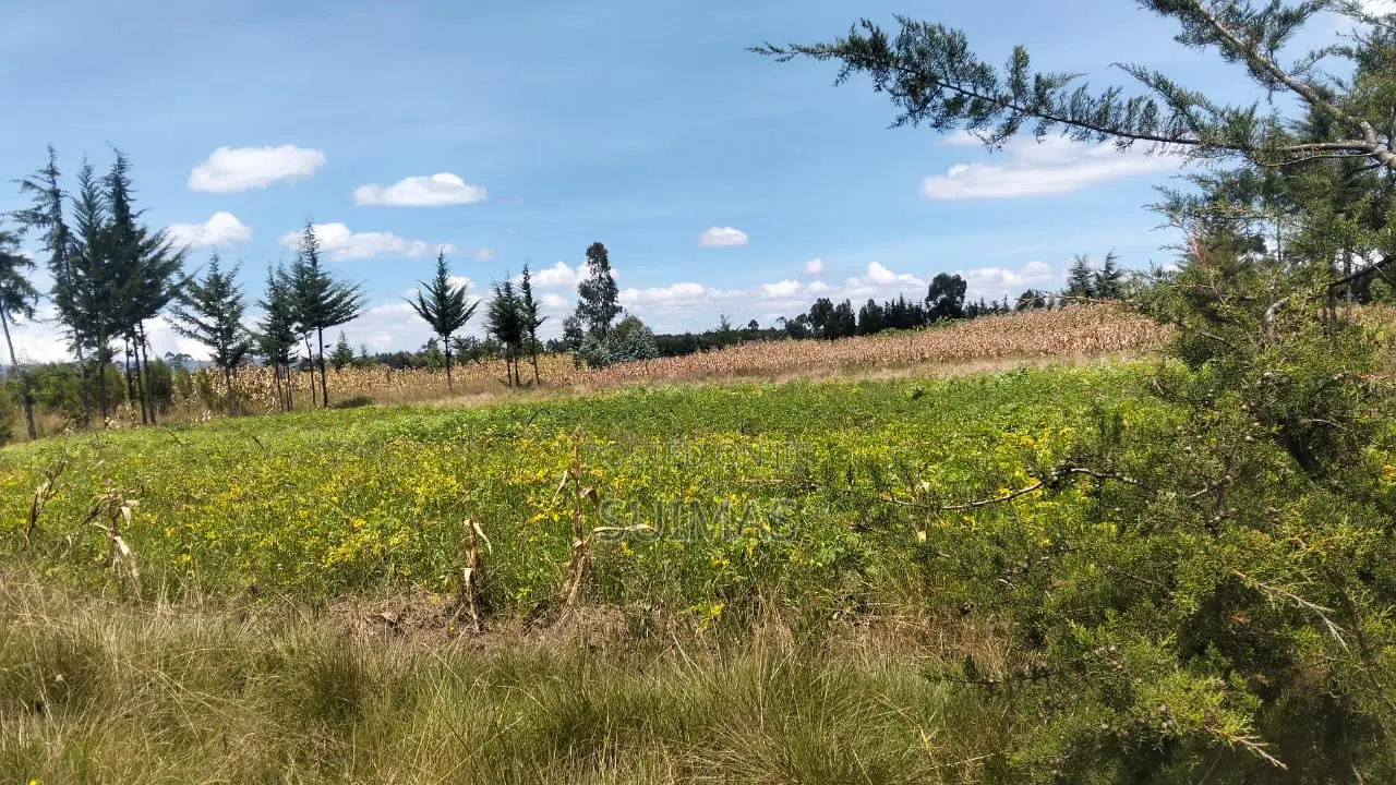 3 Acres Land for Sale in Nduha Olkalou in Kipipiri
