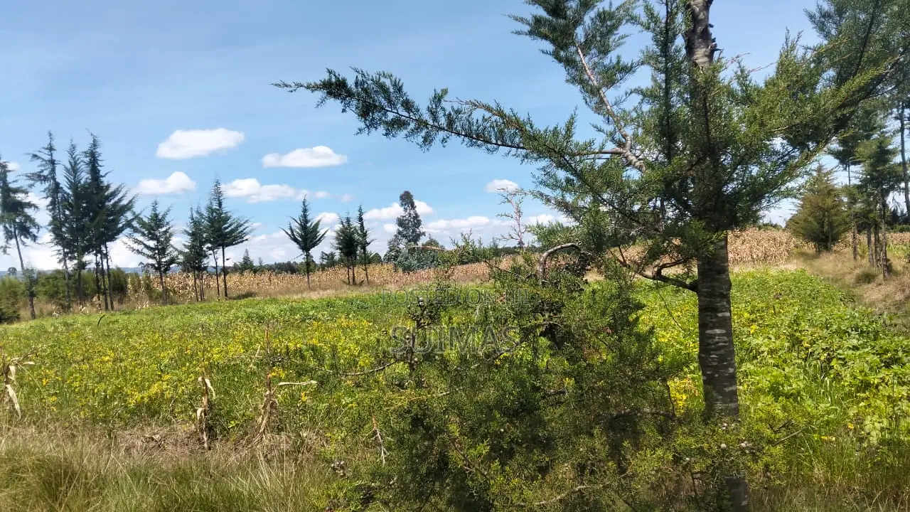 3 Acres Land for Sale in Nduha Olkalou in Kipipiri