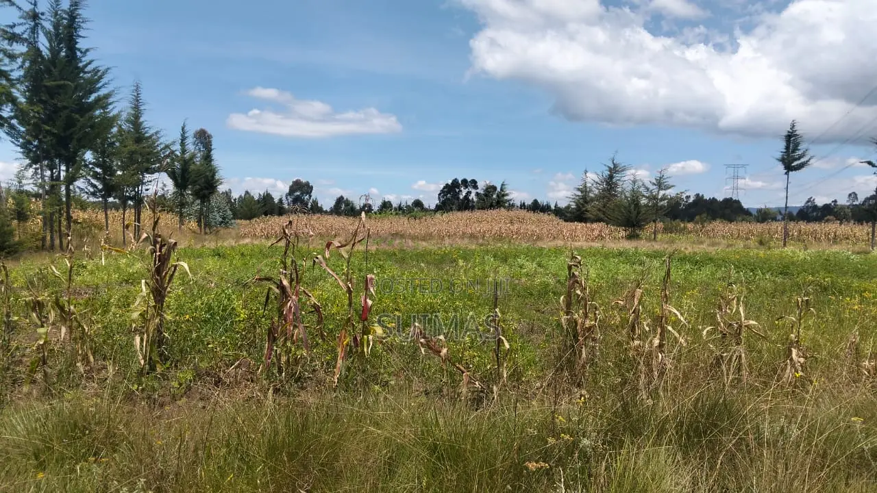 Sister’S 3 Acres Land for Sale Nduha Olkalou in Kipipiri