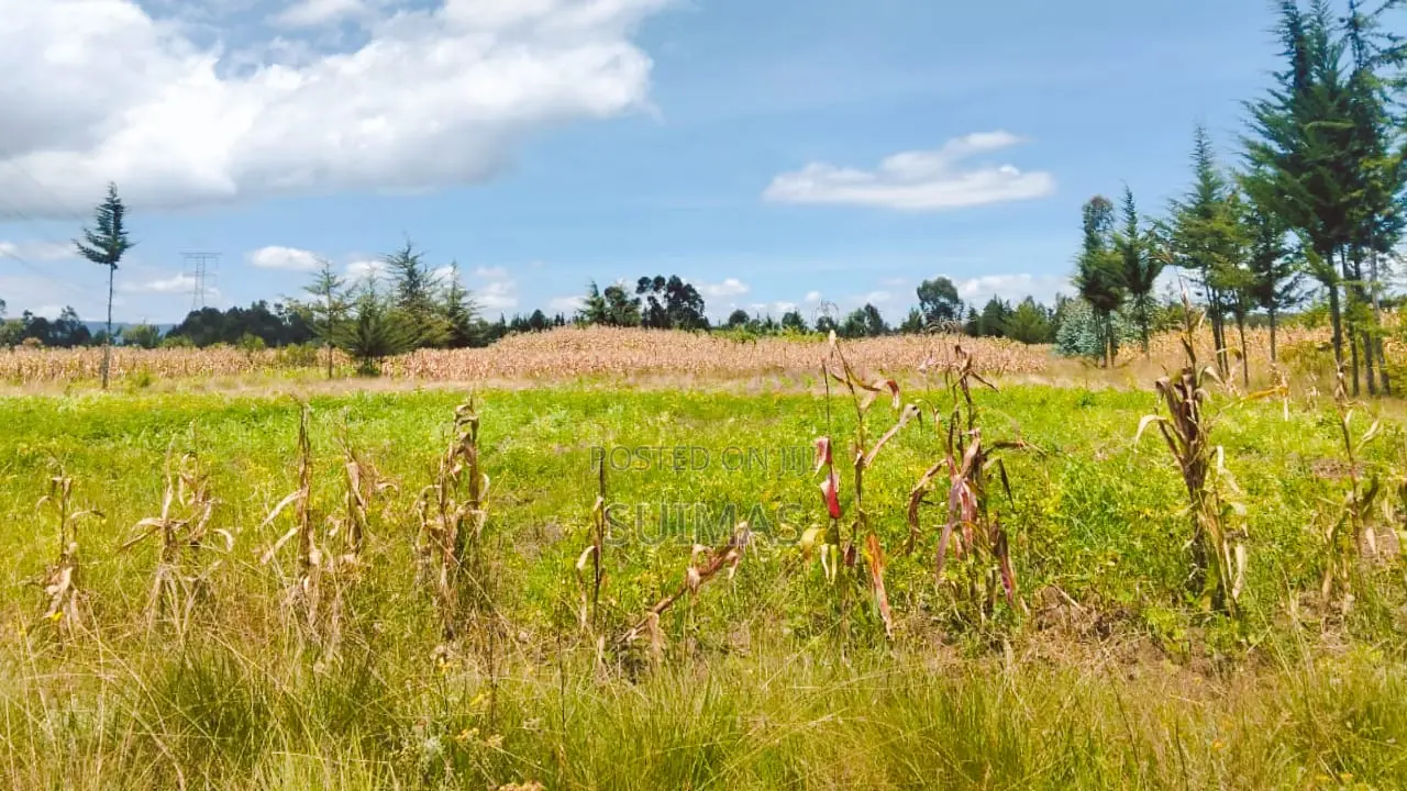 Sister’S 3 Acres Land for Sale Nduha Olkalou in Kipipiri