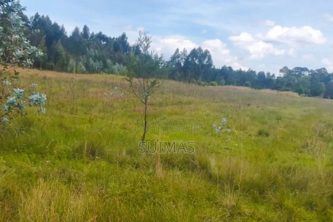 Sister’S 3 Acres Land for Sale Nduha Olkalou in Kipipiri
