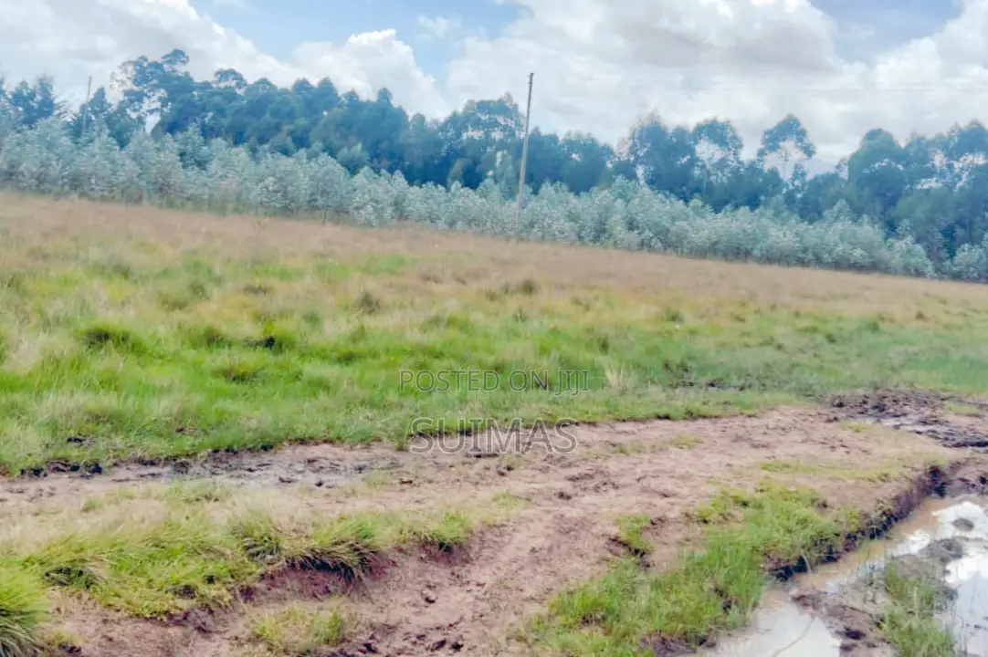 Sister’S 3 Acres Land for Sale Nduha Olkalou in Kipipiri