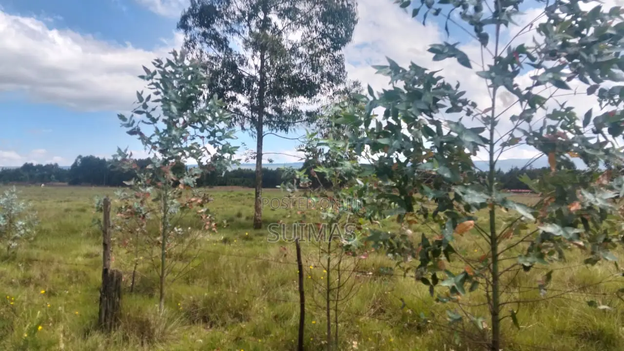 Kabubani Land for Sale in Kipipiri