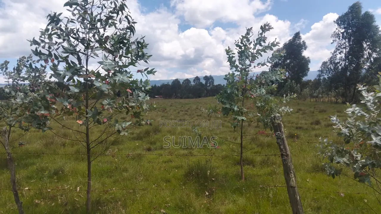 Kabubani Land for Sale in Kipipiri